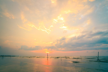 Wall Mural - world environment day concept: beach landscape at autumn sunset background