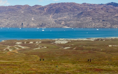 Wall Mural - Arctic landscape with  icebergs on the sea and hikers on the meadows