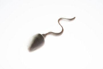 A sperm shape object on white background