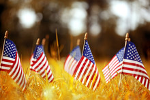Group Of American Flags In Yellow And Orange Autumn Grass