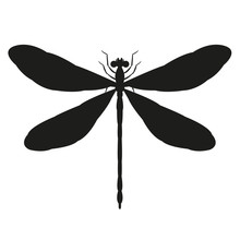  Dragonfly   Vector Illustration    Black Silhouette  Front