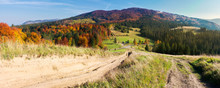Panorama Of Mountainous Landscape In Autumn. Country Road Down The Hill. Parking Lot In The Valley. Forest In Fall Colors