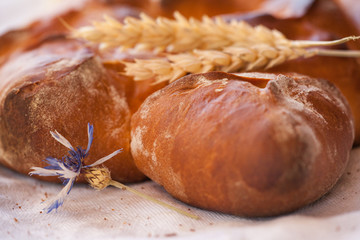 Ears of wheat close-up on a sweet pies