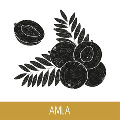 Amla. Fruit, leaf. Monochrome. Black silhouette on white backgro