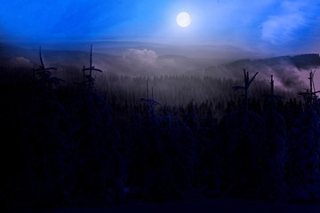 Wall Mural - Forest landscape, night, hills and full moon
