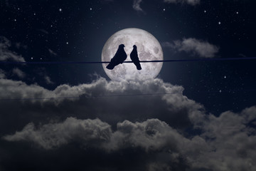 Wall Mural - Romantic plot, Loving pigeons on a full moon background
