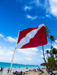 Karibik, große Antillen,  Dominikanische Republik, Region Punta Cana  Strand bei Ounta Cana; Playa del Cortecito,  Flagge eine Tauchschule am Strand