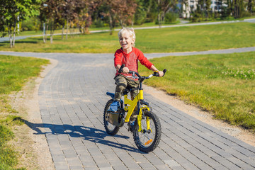 Wall Mural - Happy kid boy of 5 years having fun in the park with a bicycle on beautiful day