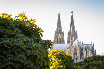 Wall Mural - Kölner Dom in Köln