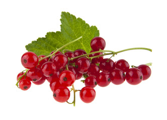 Wall Mural - fresh, juicy red currant isolated on white background