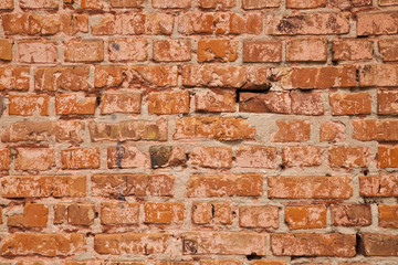 Wall Mural - old brick wall as an element of the packaging design