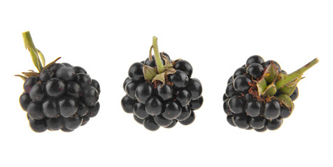 Wall Mural - blackberry isolated on white background