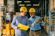 © dusanpetkovic1 - Two successful smiling business man walking through big warehouse with helmets on their heads. Older man is holding digital tablet and shoving younger one some documents.