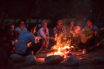 young friends relaxing around campfire
