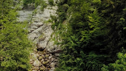 Wall Mural - Beautiful Savica waterfall, Slovenia