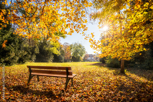 Tela Goldener Herbst im Park auf einer Parkbank