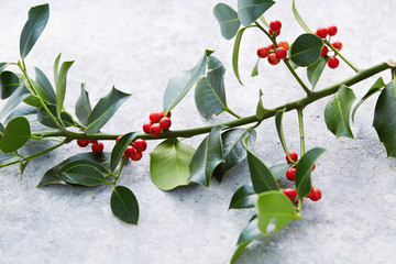 Wall Mural - christmas decorations, holly leaves with red berries.