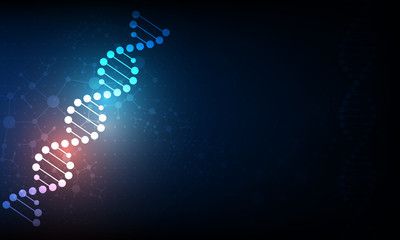 Poster - abstract science wallpaper concept with a dna molecules.vector illustration.