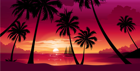 Silhouette of palm trees at sunset