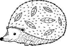 Cartoon Hedgehog - Coloring Page For Adults And Kids. Vector Illustration