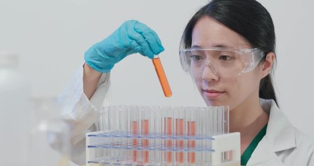 Wall Mural - Scientist making observation on test tube