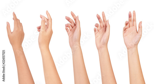 Fotomural Set of Woman hand isolated on white background.