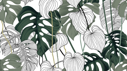  Floral seamless pattern, green, black and white split-leaf Philodendron plant with vines on white background, pastel vintage theme