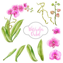 Canvas Print - watercolor orchid pink set, bouquet rose