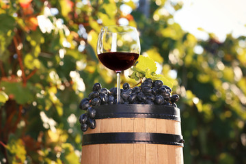 Composition with glass of red wine and ripe grapes on barrel outdoors