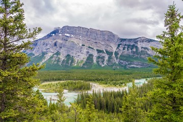 Wall Mural - Valley of Bow river from Hoodoos view point in Banff National Park - Canada