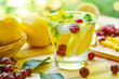 lemon grape star apple fruit soda drink for detox water