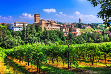 Poster - Romantic vine route with medieval castles in Italy. Emiglia Romagna region, Levizzano village