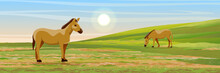 Two Brown Horses Graze In A Meadow. Hills Covered With Grass. Vector Landscape