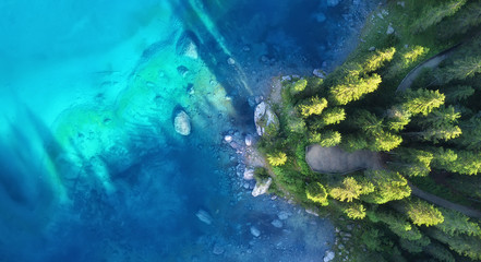Wall Mural - aerial view on the lake and forest. natural landscape from drone. aerial landscape from air in the d