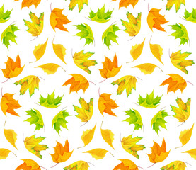 Wall Mural - seamless pattern with colorful autumn leaves isolated on white background with clipping path