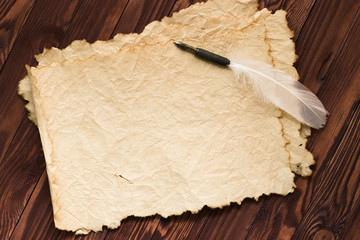 Wall Mural - Texture old paper and white feather on the table