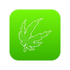Canvas Print - Marijuana leaf icon green vector isolated on white background