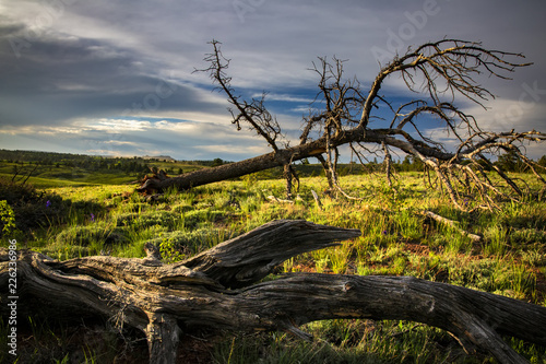 Fotografía Sunset in Medicine Bow-Routt National Forest