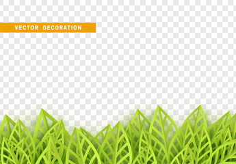 Wall Mural - grass, shape plant leaves border isolated with transparent background. vector illustration