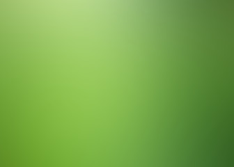 Wall Mural - Abstract Blurred green tone lights background.