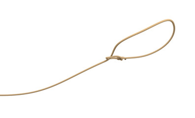 3d rendering of a rope tied in a lasso and flying on a white background.