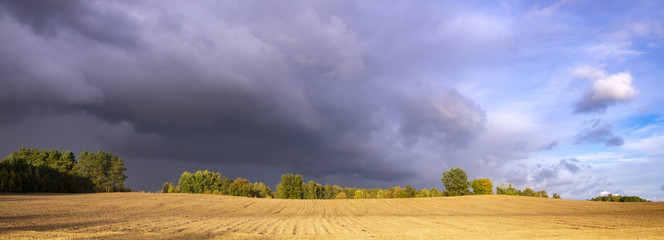 Wall Mural - autumn in the field, plowed field