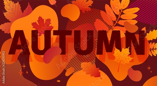 Horizontal Abstract Geometric Design For Autumn Promotion Fall