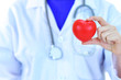 © jarun011 - Cardiologist holding heart in hand, heart care concept