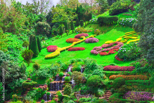 Flower garden and waterfall at Doi Inthanon, Thailand