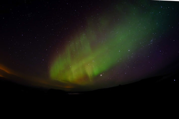 aurora borealis in iceland