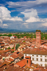 Wall Mural - Lucca old  historic center skyline with medieval towers and clouds