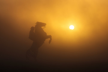 Cowboy puting his horse to stay in two feets at sunset with dust in background