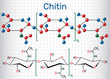Chitin molecule. Structural chemical formula and molecule model. Sheet of paper in a cage