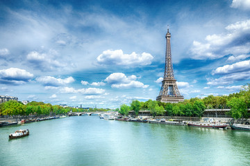 Wall Mural - view of paris with eiffel tower